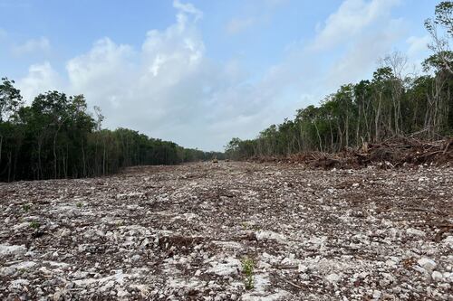 La infraestructura debe respetar a la Madre Tierra